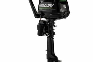 MOTOR MERCURY 5M LPG